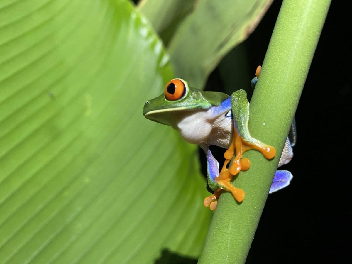 La FortunaWellness Park Cr别墅 外观 照片