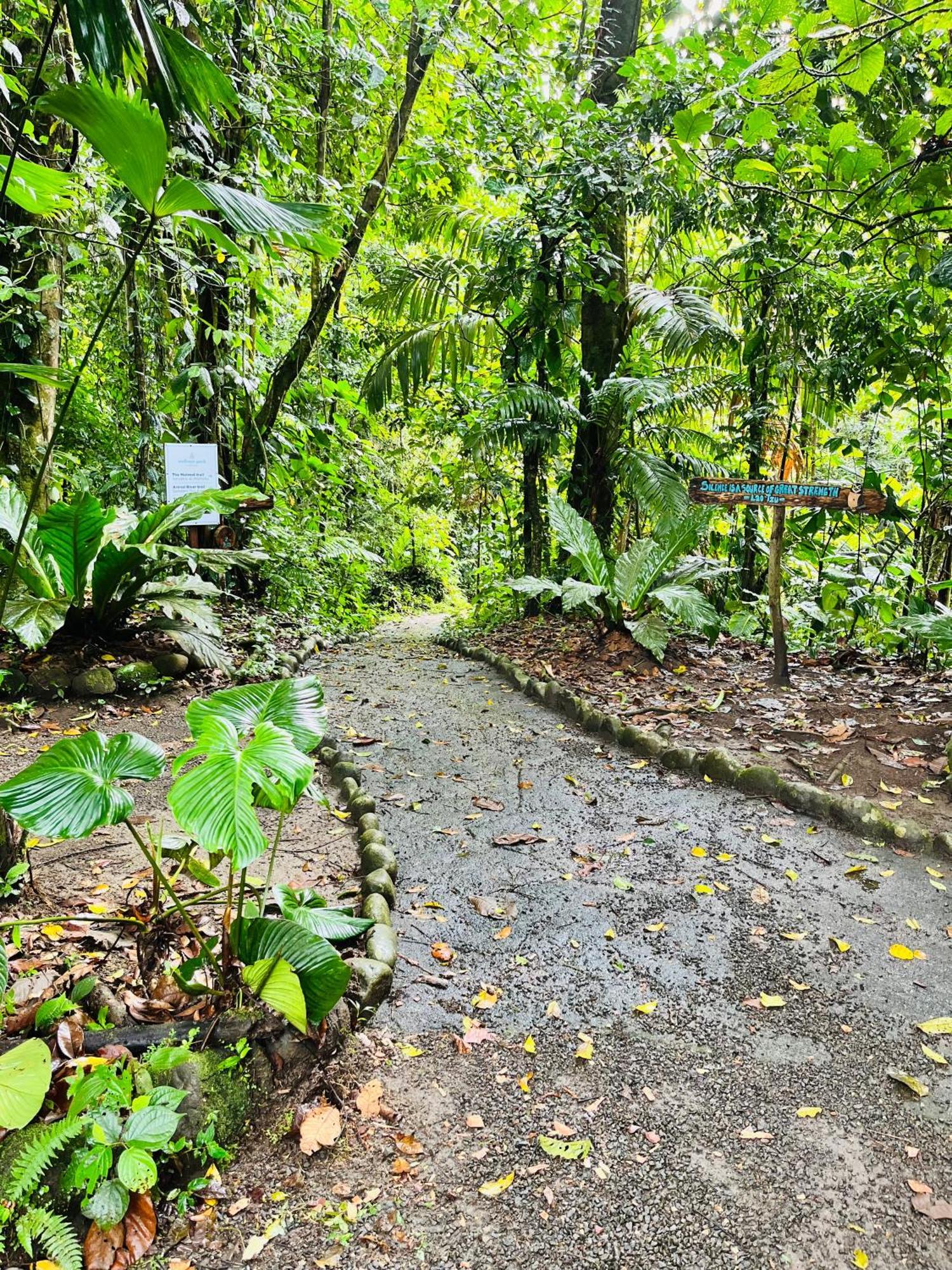 La FortunaWellness Park Cr别墅 外观 照片