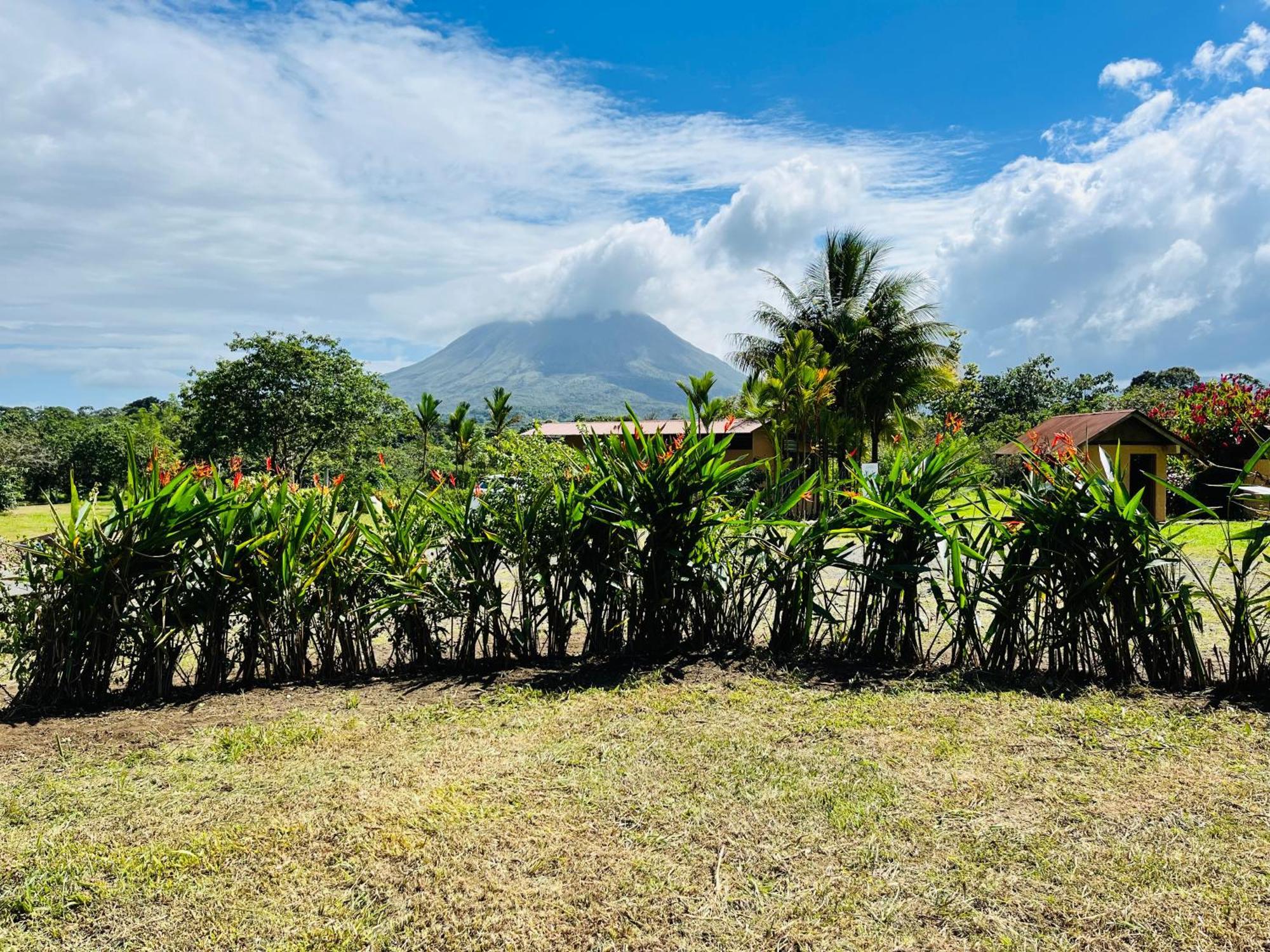 La FortunaWellness Park Cr别墅 外观 照片