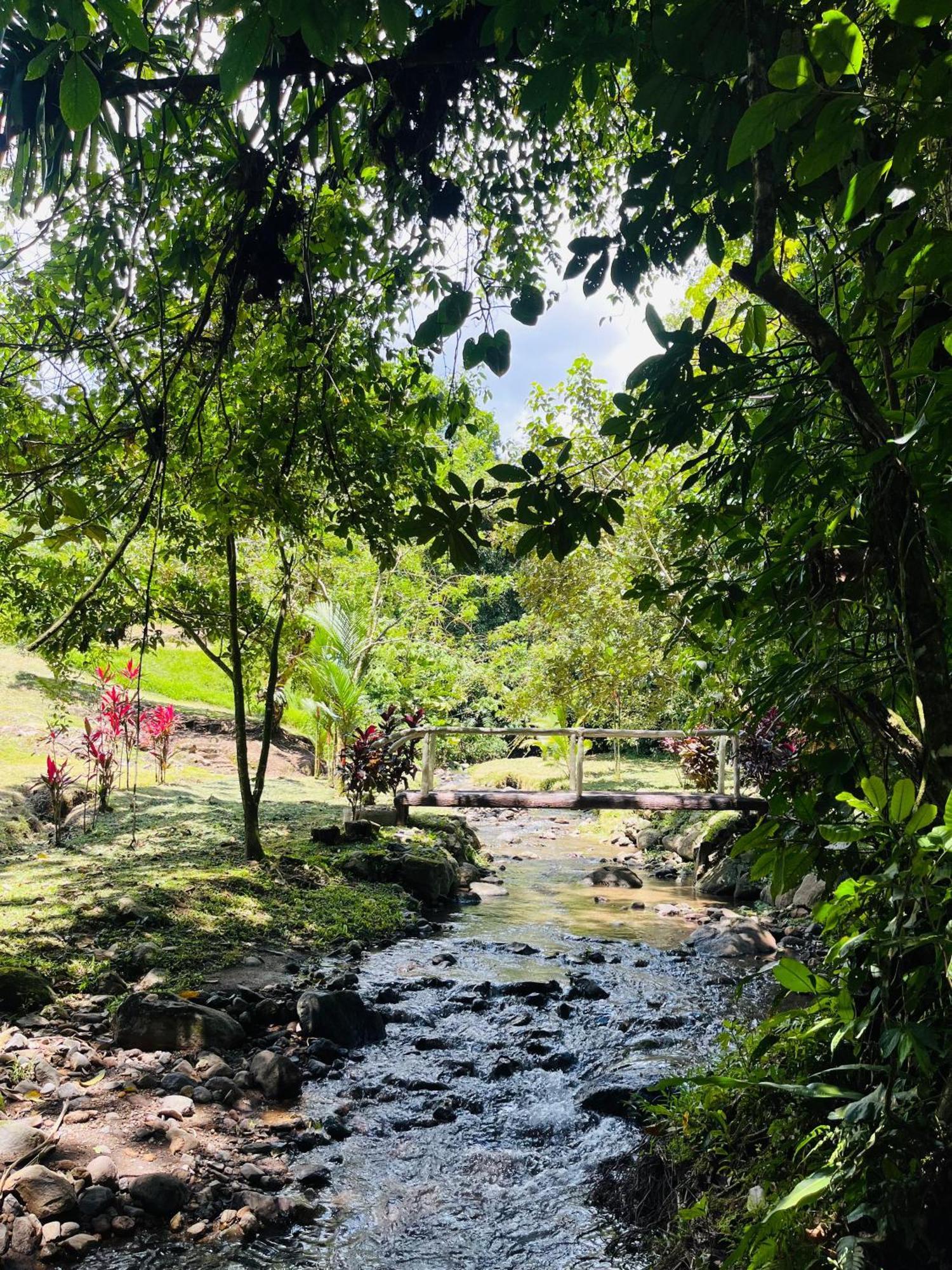 La FortunaWellness Park Cr别墅 外观 照片